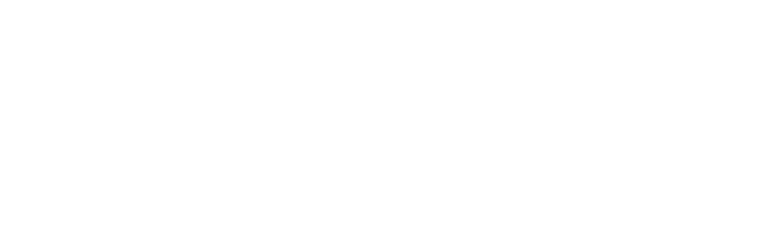 Manfred Erich Fries