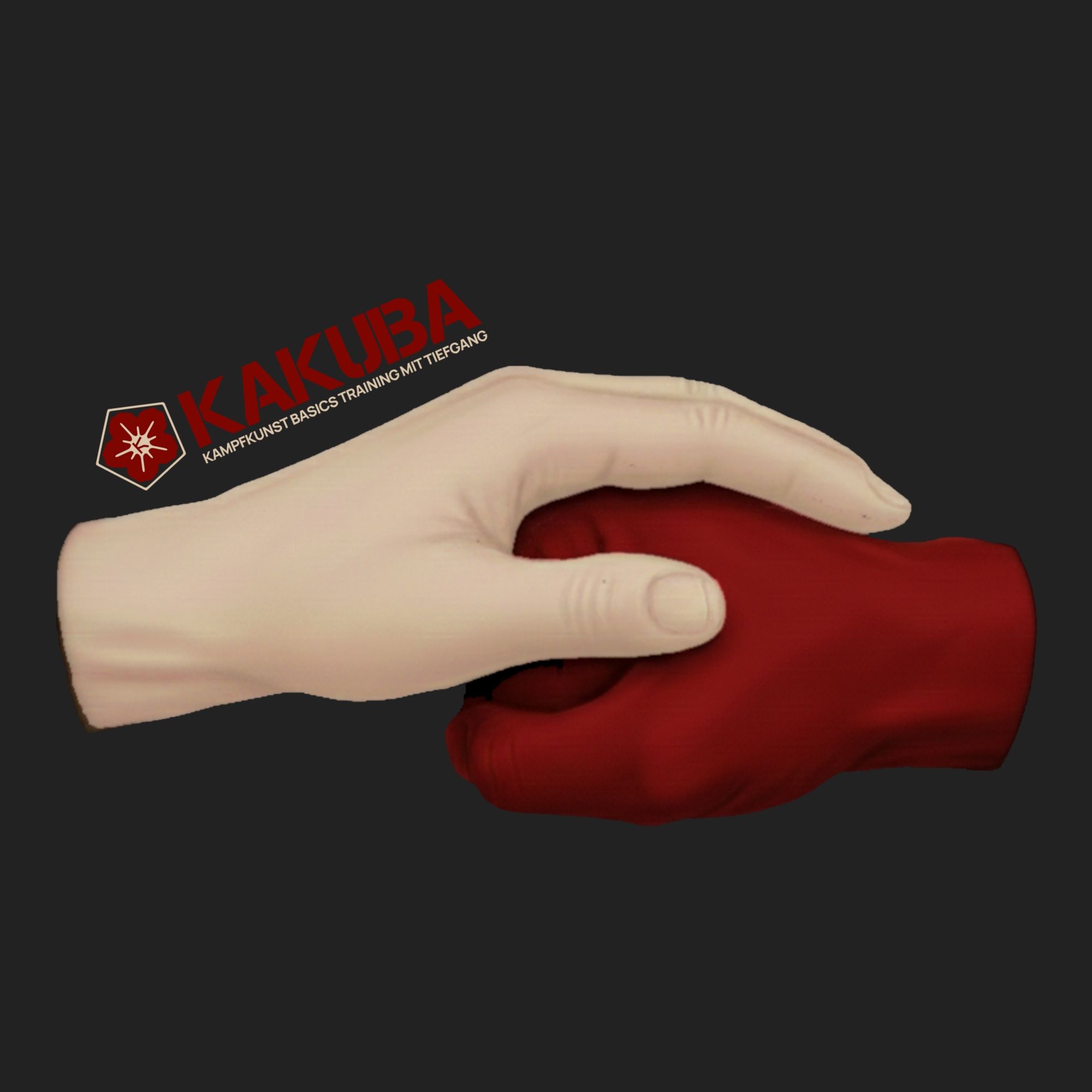 Das Training ist eine Gemeinschaft, in der du in einem sicheren Rahmen wachsen und deine Fähigkeiten effektiv anwenden kannst.